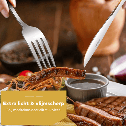 Steakmessen 6 Stuks RVS